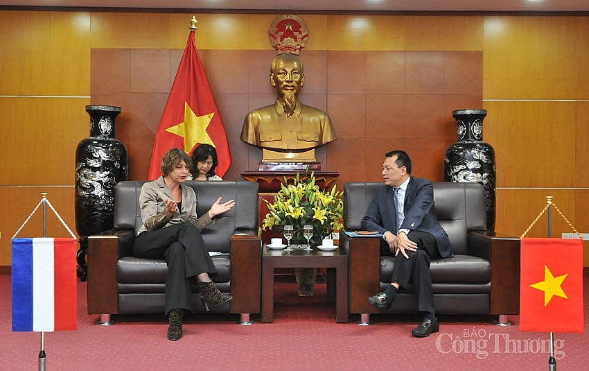 Netherlands willing to cooperate with Vietnam on renewable energy